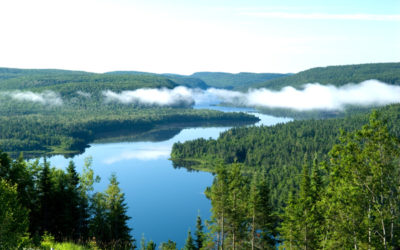 Mauricie 2019